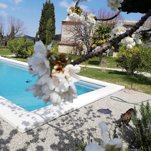 Photo de Le Mas en Provence à Entrechaux (84340)