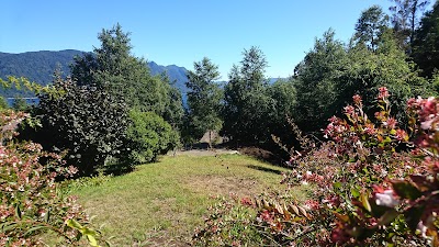 Photos of Camping Las Vertientes
