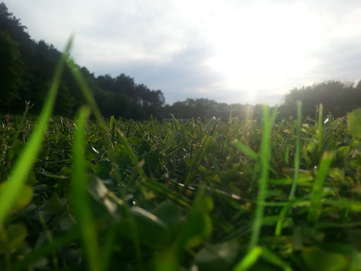 Gallagher Fields - Visual