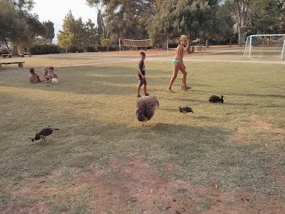 Photos of fitnes park