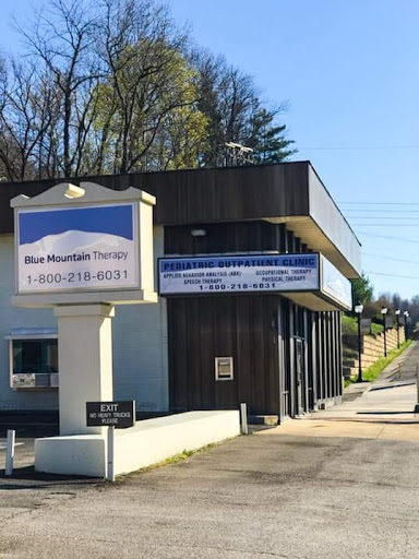 Blue Mountain Therapy, LLC - Thumbnail