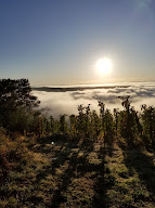 Domaine Christophe Bombrun à Cheminas