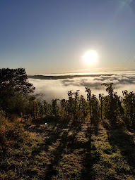 Photo n°1 de Domaine Christophe Bombrun à Cheminas (Cave à vins)