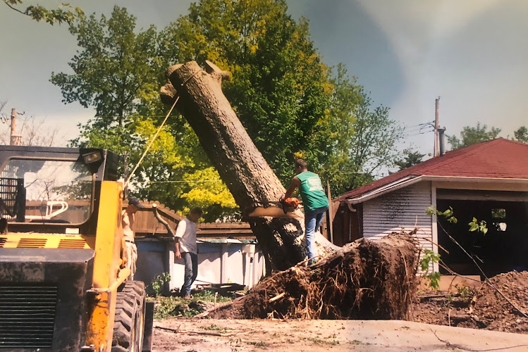 Parkers Tree Service