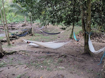 Photos of Finca Boca De La Angostura - PermaGuate