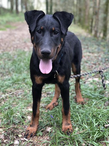 Photo de La maison de Savenol