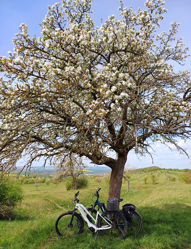 Bikestore Knabe - Visual
