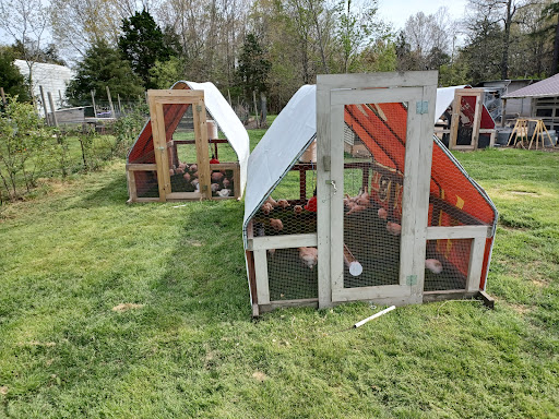 Castle Rock Farm Gallery - United States