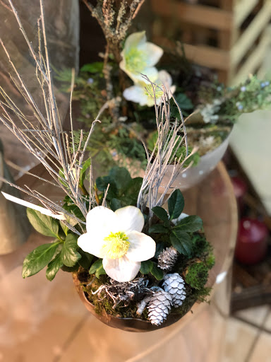 Blumen-Heidenau - Thumbnail