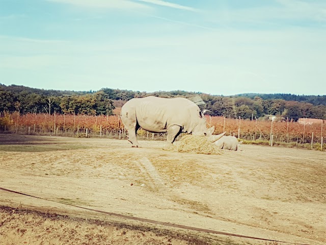 Safari de Peaugres