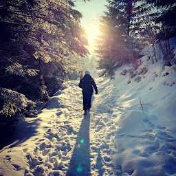 Photo n°7 de Bruche Craft - Stages de survie et bushcraft à Rothau (Centre de sports d'aventure)