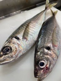 酒采とお食事どっぽ