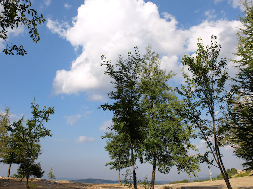 Parco e Anfiteatro Comunale - Thumbnail
