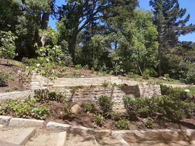 National AIDS Memorial Grove