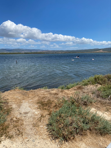 Flamingo-View - Thumbnail