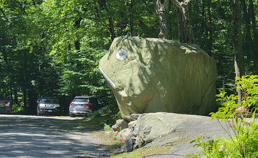 Frog Rock Rest Area - Thumbnail