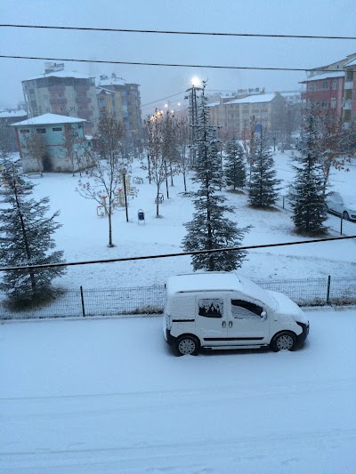 Photos of Engesiz Parkı