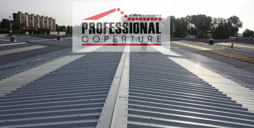 Professional Coperture - Visual
