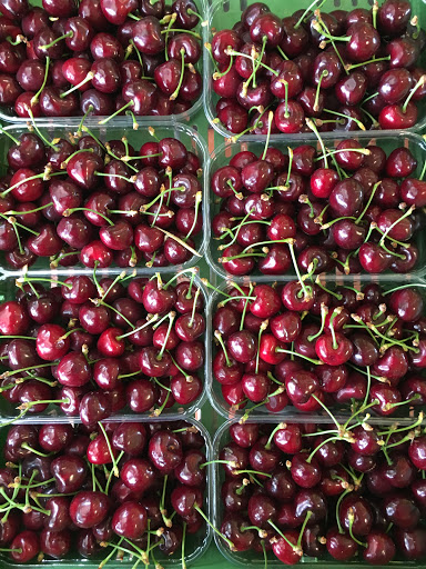 Obstplantage Zabel - Thumbnail