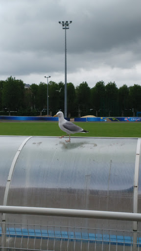 Stade Commandant Hébert - Visual