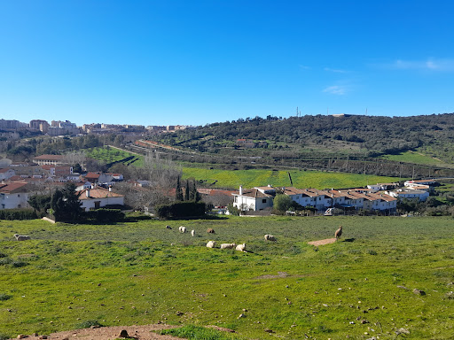 Paseo Alto - Paseo de Ibarrola - Thumbnail