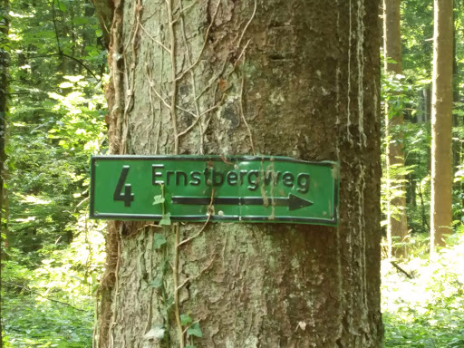 Mondviolen Ernstbergkrater - Thumbnail