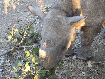 Photos of Nomad Africa Adventure Tours