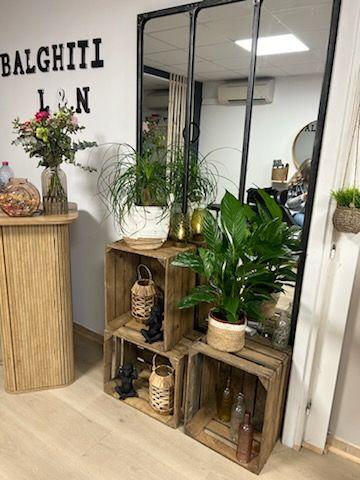 Balghiti coiffure Gallery - France