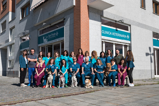 Veterinary Clinic San Paolo Gallery - Italy