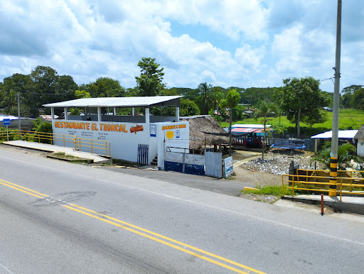Restaurante El Troncal