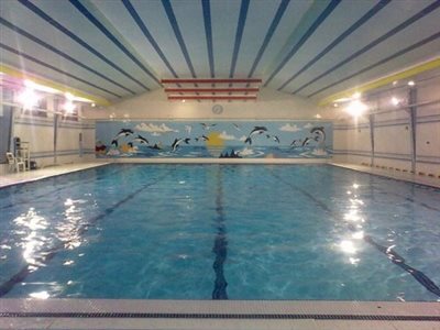 Photos of Dolphin Pool