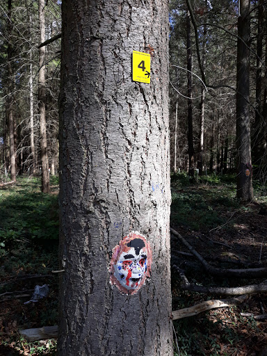 Mönchsheide Airfield Gallery - Germany
