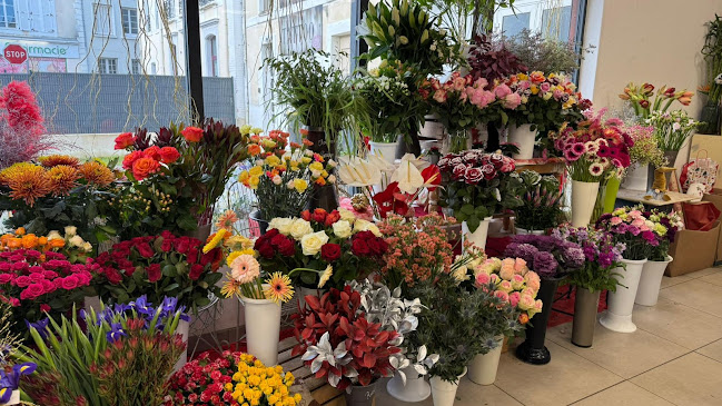 Avis sur Fleuriste - Groupe Touchard à Le Mans - Fleuriste