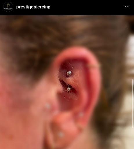 Prestige Piercings Gallery - United Kingdom
