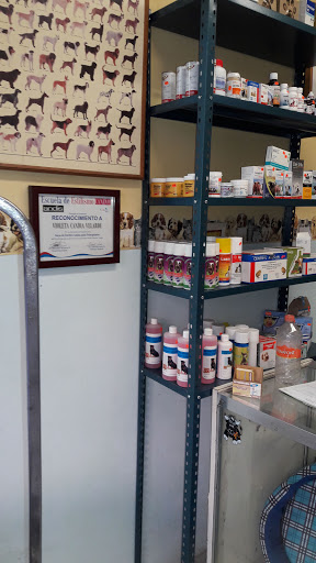 Veterinaria Sanchez Briones - Thumbnail