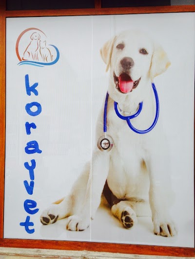 Photos of KORAYVET VETERİNER KLİNİĞİ