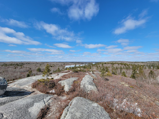 The Bluff Wilderness Hiking Trail (parking lot) - Thumbnail