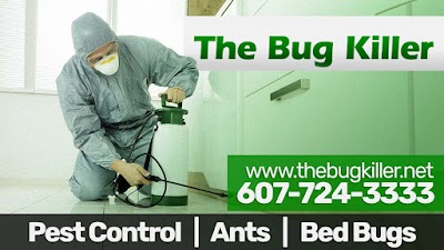 The Bug Killer