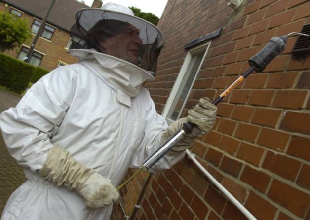 Albany Environmental Services Ltd - Maidstone