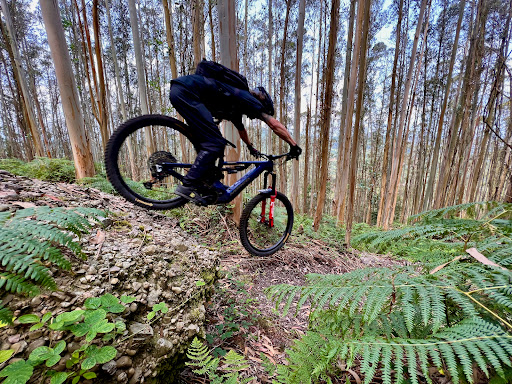 Asturias Mount & Ride - Thumbnail