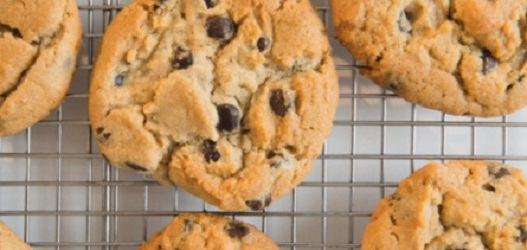 Townhall Maple Ridge by null