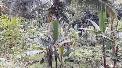 Photos of Ahinsa Guest House