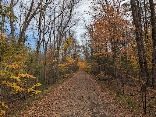 Whitney and Thayer Woods Gallery - United States