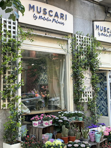 Muscariflores