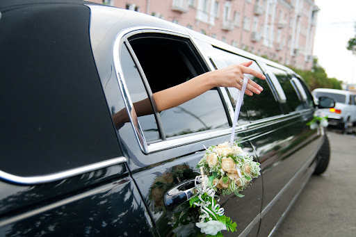 MyFlightLink Limo - Visual