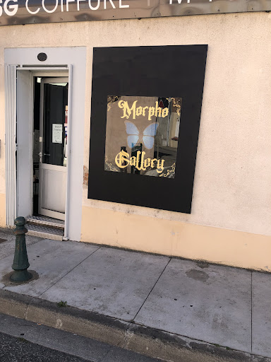 Morpho Gallery - Visual