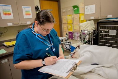 Photos of Kirkwood Community College