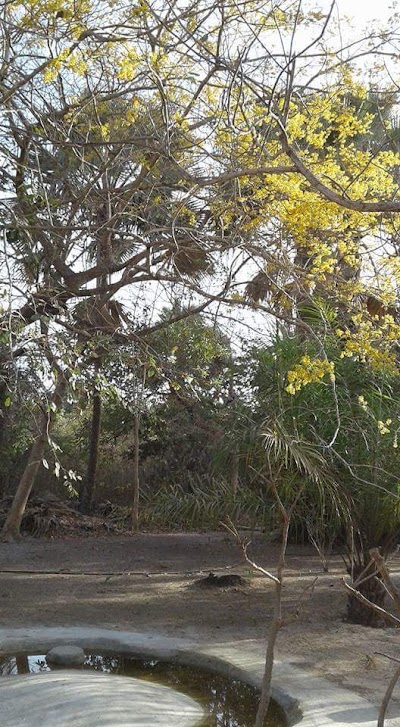 Photos of Dalaba Eco-Lodge
