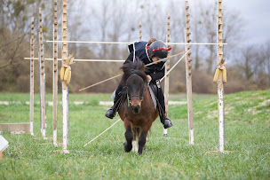 Photo n°9 de Ecole d'Equitation du Waldhof - Centre équestre de la Ville de Strasbourg à La Wantzenau (Association pour la jeunesse)