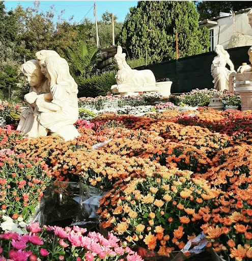 S.C. Floreal - Italy